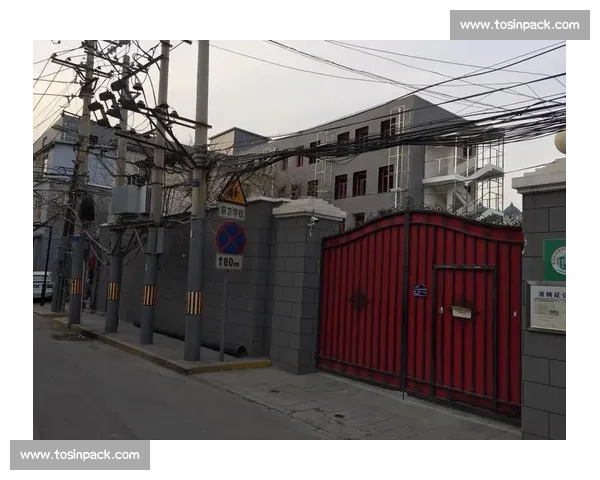 街二代的困境:为何街头篮球传奇的孩子难成下一个传奇? 街二代的困境:为何街头篮球传奇的孩子难成下一个传奇?
