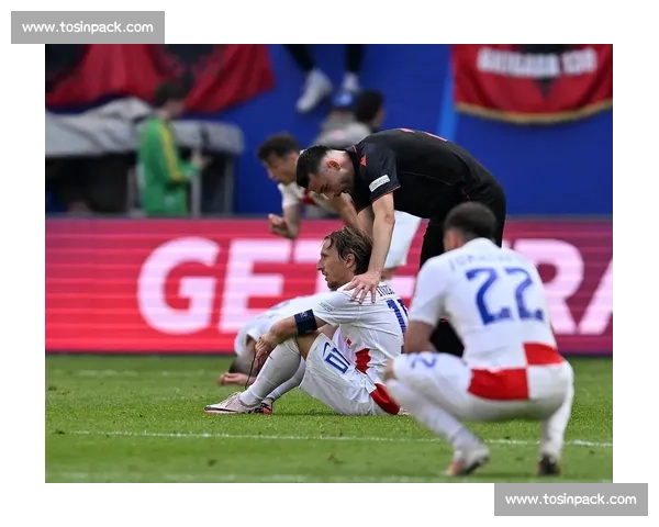 达利奇:克罗地亚的世界杯双奖牌奇迹 达利奇:克罗地亚的世界杯双奖牌奇迹